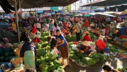 UN Food Systems Summit brief calls for global increase in consumption of fruits and vegetables