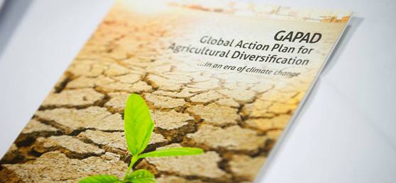 Launch of the Declaration on Agricultural Diversification in Paris, GAPAD